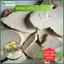 Hoài Sơn/ Củ Mài Hàng Sạch Thơm Cao Cấp Túi Lớn Loại 1kg