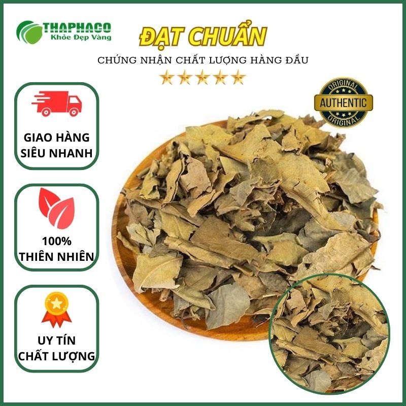 [Túi 1kg] Lá Vối Khô - Hàng Công Ty - Tốt Cho Sức Khỏe - Thaphaco