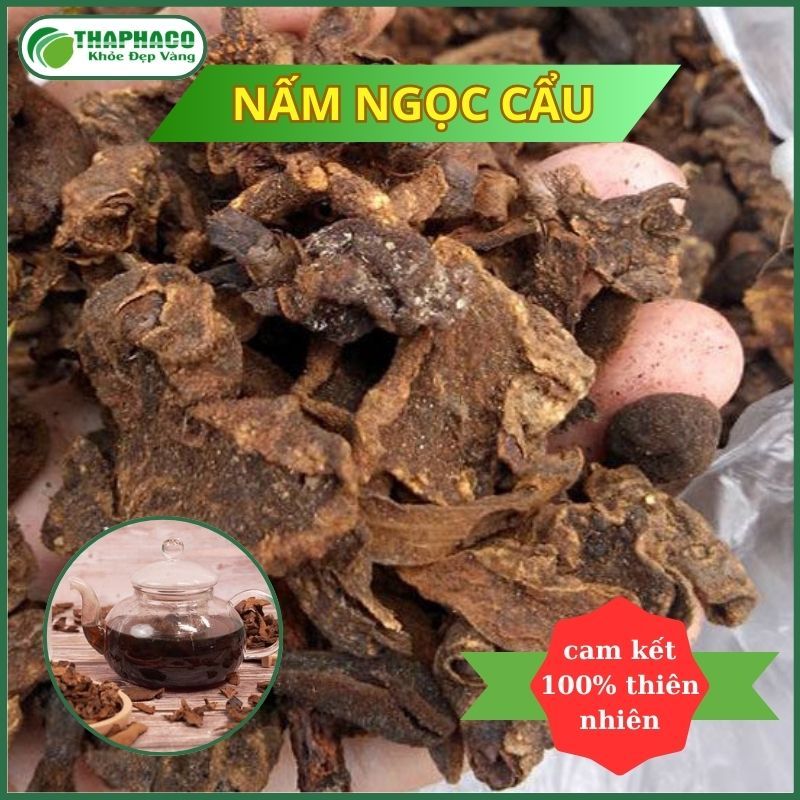 Nấm ngọc cẩu khô hàng loại 1 - Hỗ trợ cải thiện sức khỏe sinh lý nam - Trà sạch 500gram - Thaphaco