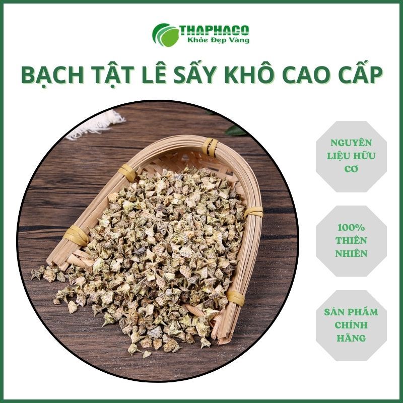 [Dược Liệu] Bạch Tật Lê/ Gai Ma Vương Sấy Khô - Hàng Công Ty - Thaphaco
