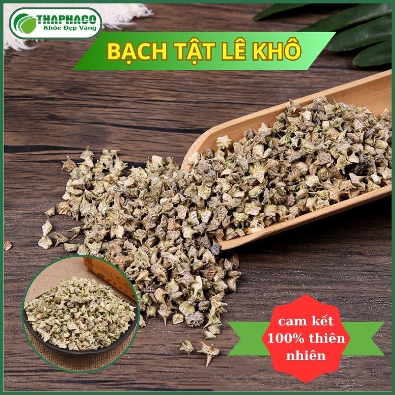 [Dược Liệu] Bạch Tật Lê/ Gai Ma Vương Sấy Khô - Hàng Công Ty - Thaphaco