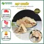 Hoàng Kỳ Khô - Nguyên Liệu Sạch - Xanh - 100% Thiên Nhiên - Thaphaco