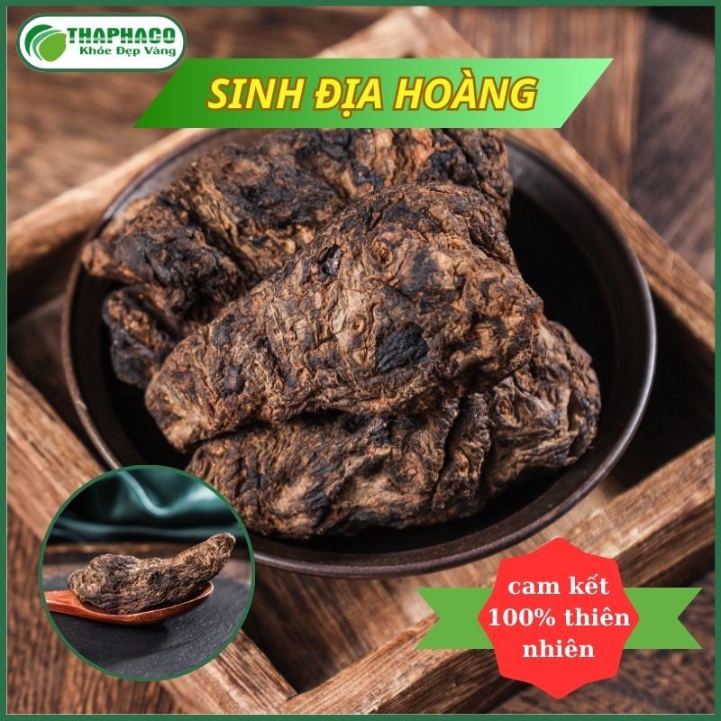 [Túi 1kg] Sinh địa hoàng sấy khô - Hàng sạch thơm cao cấp - Thảo Dược THAPHACO