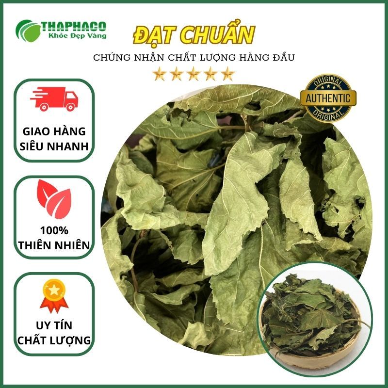 Lá dâu tằm sấy khô - Hàng thơm sạch cao cấp - Túi lớn loại 1kg - Thảo Dược THAPHACO