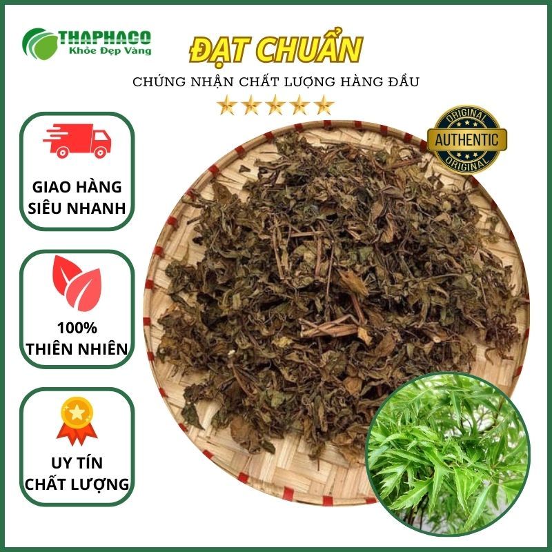 [Túi 1KG] Lá đinh lăng sấy khô - Hàng sạch thơm cao cấp - Thảo Dược THAPHACO