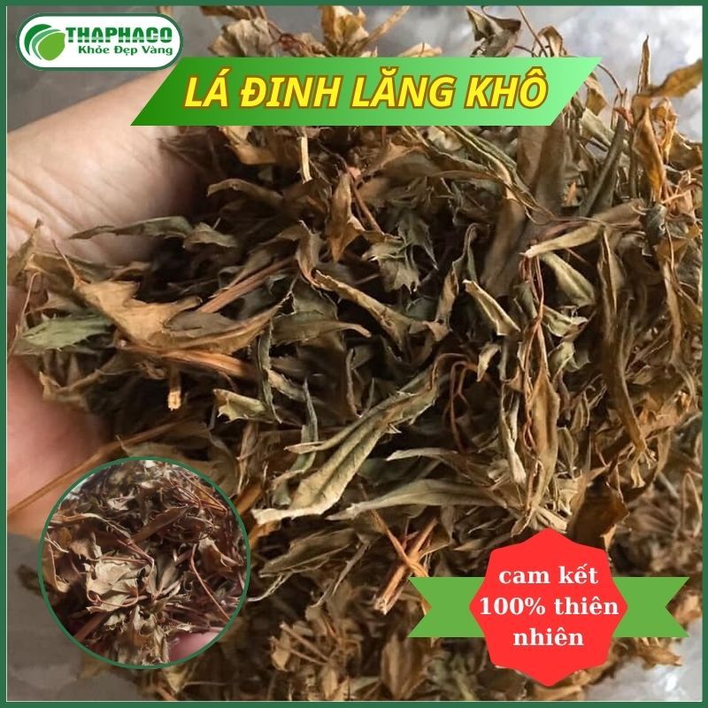 [Túi 1KG] Lá đinh lăng sấy khô - Hàng sạch thơm cao cấp - Thảo Dược THAPHACO