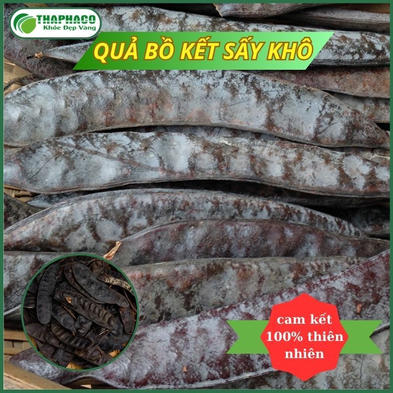 Bồ Kết Khô Cao Cấp - Hàng Nguyên Chất Loại 1 - Túi lớn 1kg - Thaphaco