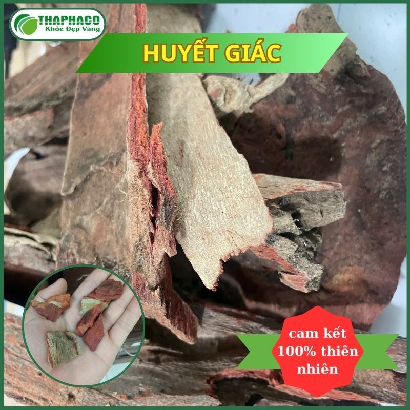 [Thảo Dược] Huyết Giác Khô Sấy Khô - Hàng Loại 1 - Túi 1kg - Thaphaco