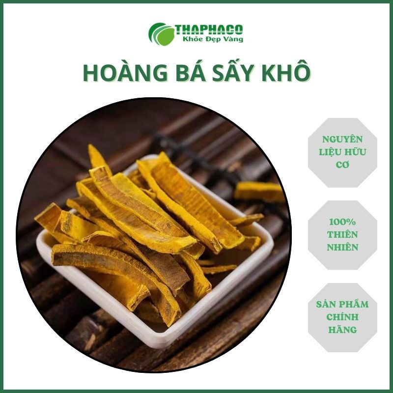 Hoàng bá sấy khô - Hàng sạch thơm cao cấp - Túi lớn loại 1kg - Thảo Dược THAPHACO