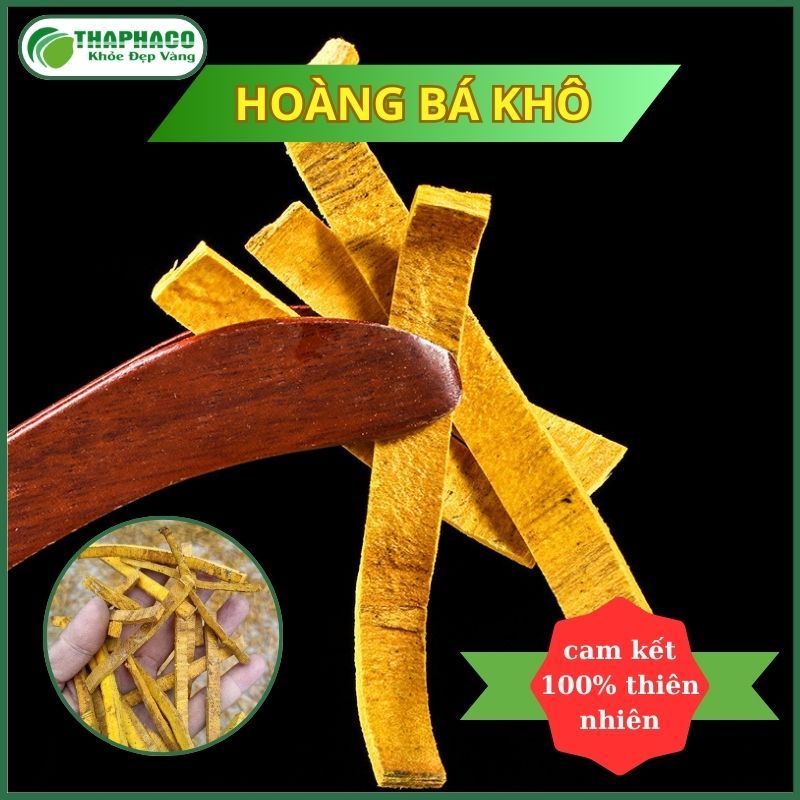 [1KG] Hoàng bá sấy khô - Hàng sạch thơm cao cấp - Thảo Dược THAPHACO