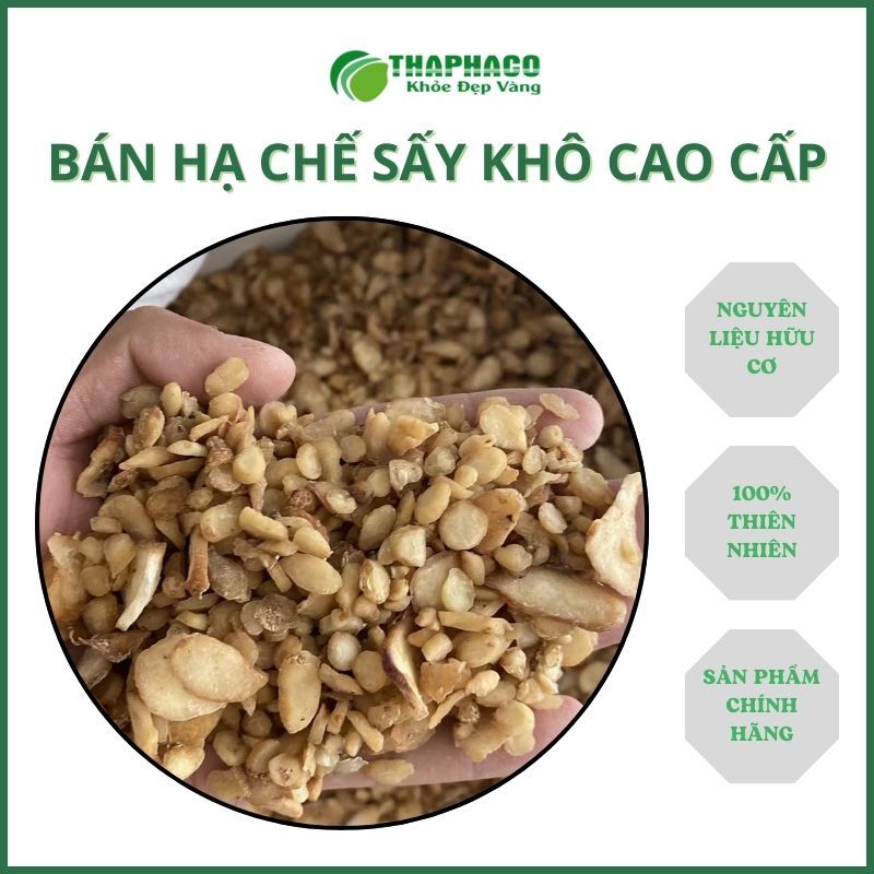 [Túi lớn 500gram] Bán Hạ/Bán Hạ Chế - Ngừa Ho Có Đờm - Chất Lượng - Thaphaco