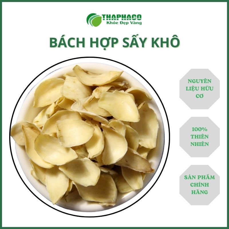 Bách hợp sấy khô - Hàng sạch thơm cao cấp - Túi lớn loại 1kg - Thảo Dược THAPHACO