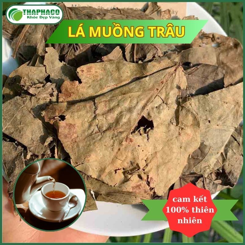 [Túi 1kg] Lá Muồng Trâu Khô Nguyên Chất -  Thaphaco