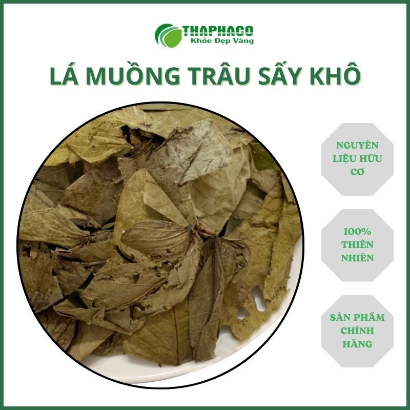 [Túi 1kg] Lá Muồng Trâu Khô Nguyên Chất -  Thaphaco