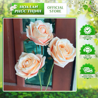 hồng pháp 3 bông 60 cm-hoa hồng giả trang trí
