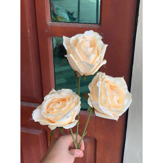 hồng pháp 3 bông 60 cm-hoa hồng giả trang trí