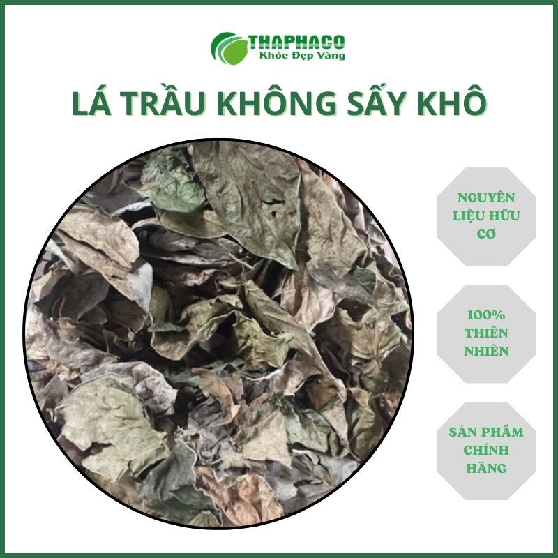 [1kg] Lá trầu không sấy khô hàng sạch thơm cao cấp - Thảo Dược THAPHACO