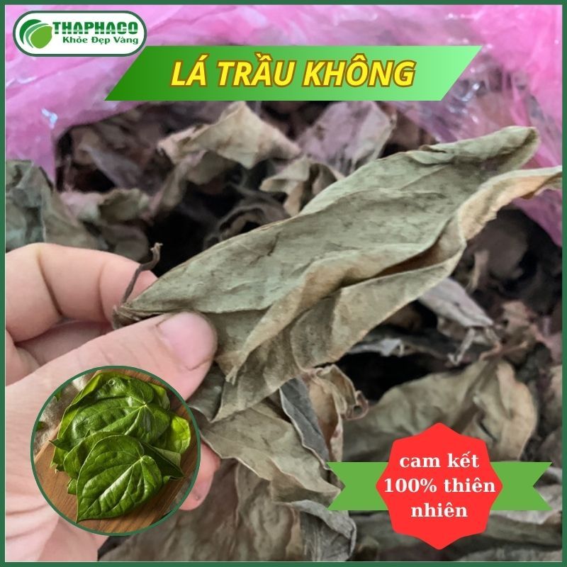 [1kg] Lá trầu không sấy khô hàng sạch thơm cao cấp - Thảo Dược THAPHACO