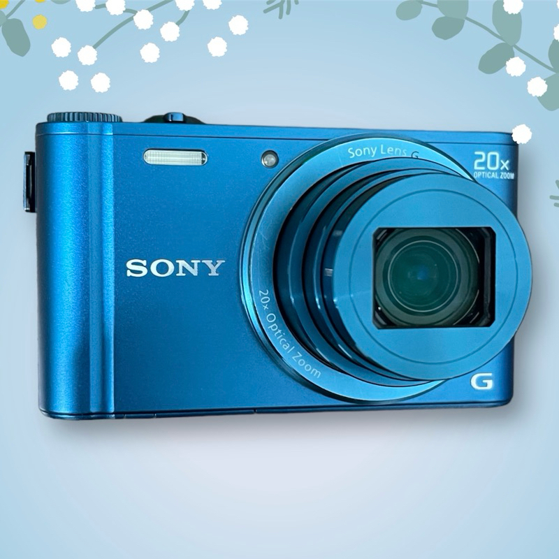 SONY Cyber-Shot DSC-WX300 [バッテリー2つ付き]