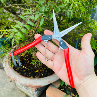 Kéo cắt cành - tỉa Nhật chính hãng rất sắc bén, không rỉ, dễ sử dụng, tiện lợi