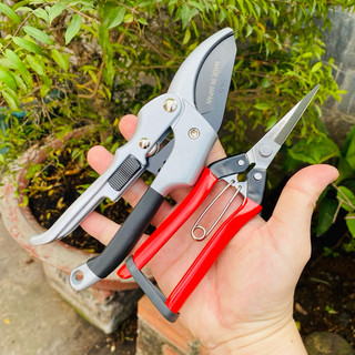 Kéo cắt cành - tỉa Nhật chính hãng rất sắc bén, không rỉ, dễ sử dụng, tiện lợi