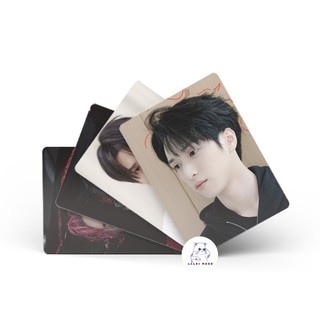 [SẴN] Nghiêm Hạo Tường | Hộp thẻ card laser 50 tấm Gummy Bear TNT (mới - 2025) | Lomo lomocard card ánh laser