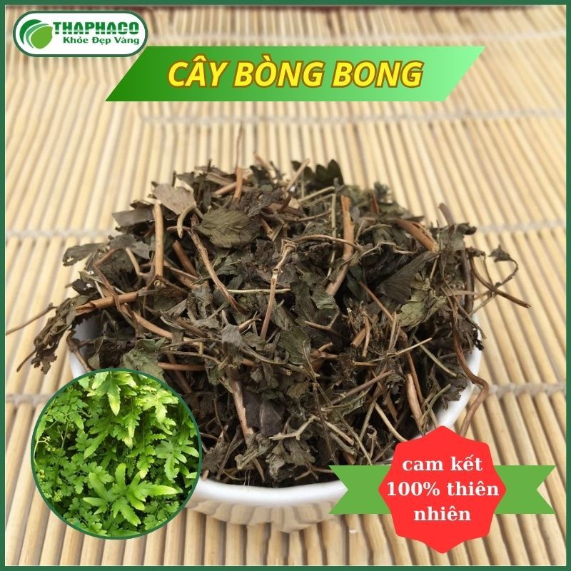 Bòng bong sấy khô - hàng sạch thơm cao cấp - Túi lớn loại 1kg - Thảo Dược THAPHACO