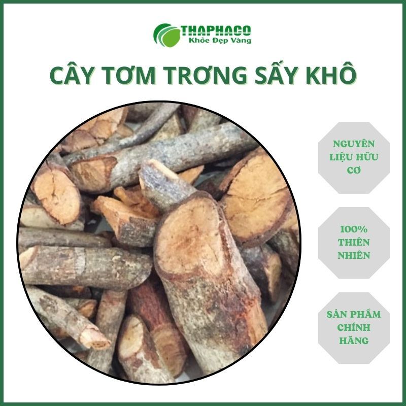 [Túi 1kg] Tơm Trơng chuyên dùng sắc nước pha trà: Hỗ trợ bệnh Gout, Giảm đau nhức xương, Tăng cường chức năng thận