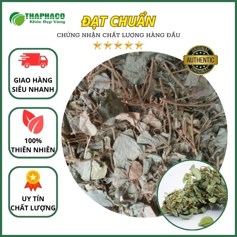 1kg Trà kim tiền thảo sấy khô - Hỗ trợ lợi tiểu và cải thiện giấc ngủ