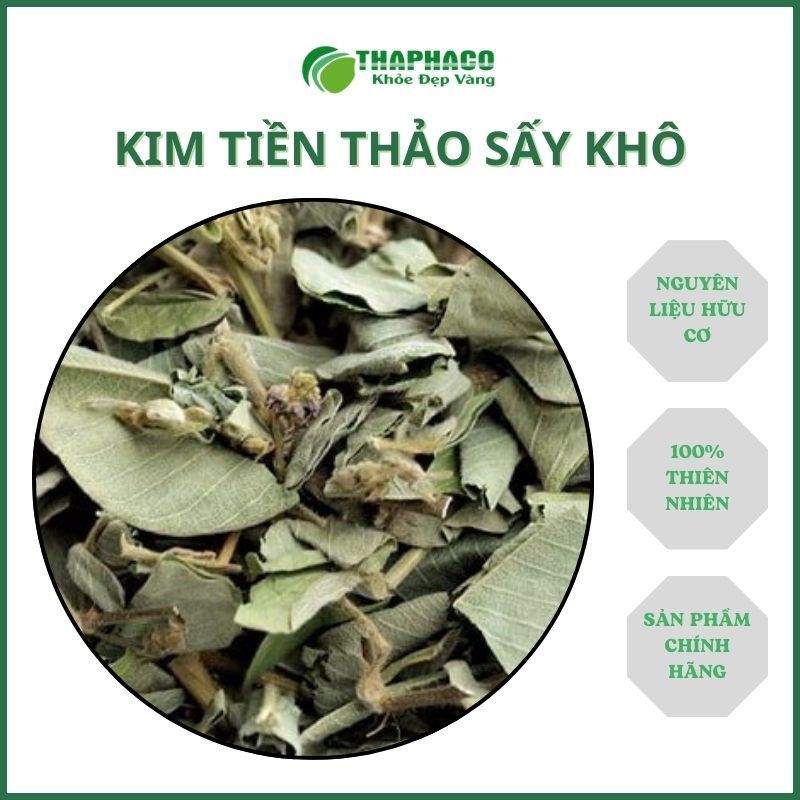 Kim tiền thảo sấy khô hàng sạch thơm cao cấp - Túi lớn loại 1kg - Thảo Dược THAPHACO