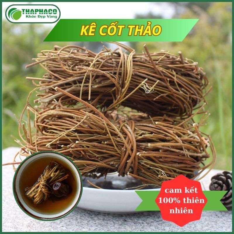 Trà kê cốt thảo sấy khô - Hàng sạch thơm cao cấp - Túi lớn loại 1kg - Thảo Dược THAPHACO