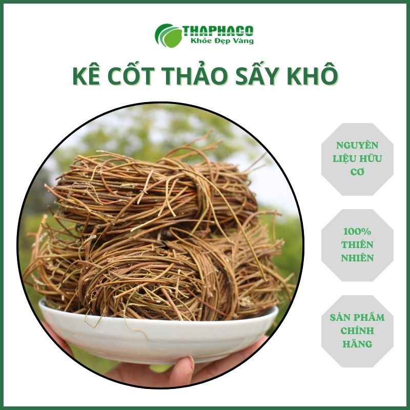 Trà kê cốt thảo sấy khô - Hàng sạch thơm cao cấp - Túi lớn loại 1kg - Thảo Dược THAPHACO