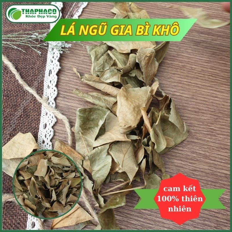 [1kg] Lá ngũ gia bì sấy khô - Hàng sạch thơm cao cấp - Thảo Dược THAPHACO