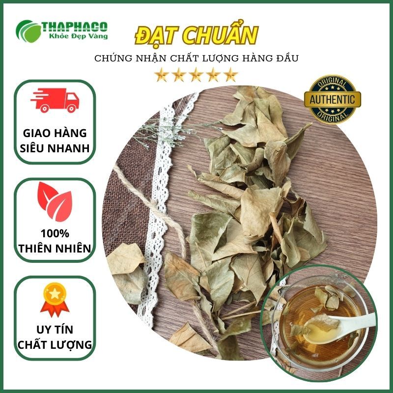 [1kg] Lá ngũ gia bì sấy khô - Hàng sạch thơm cao cấp - Thảo Dược THAPHACO
