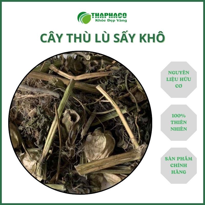 [1kg] Trà thù lù sấy khô - Hàng sạch thơm cao cấp - chuyên dùng để pha trà và sắc nước uống
