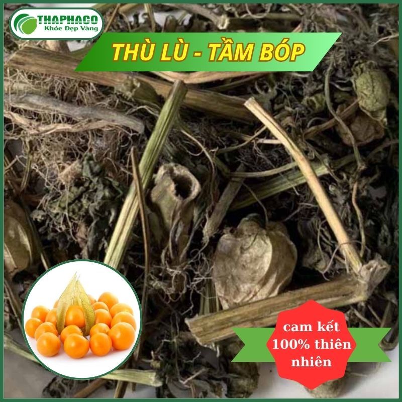 Cây thù lù (tằm bóp) sấy khô - Hàng sạch thơm cao cấp - túi lớn loại 1kg