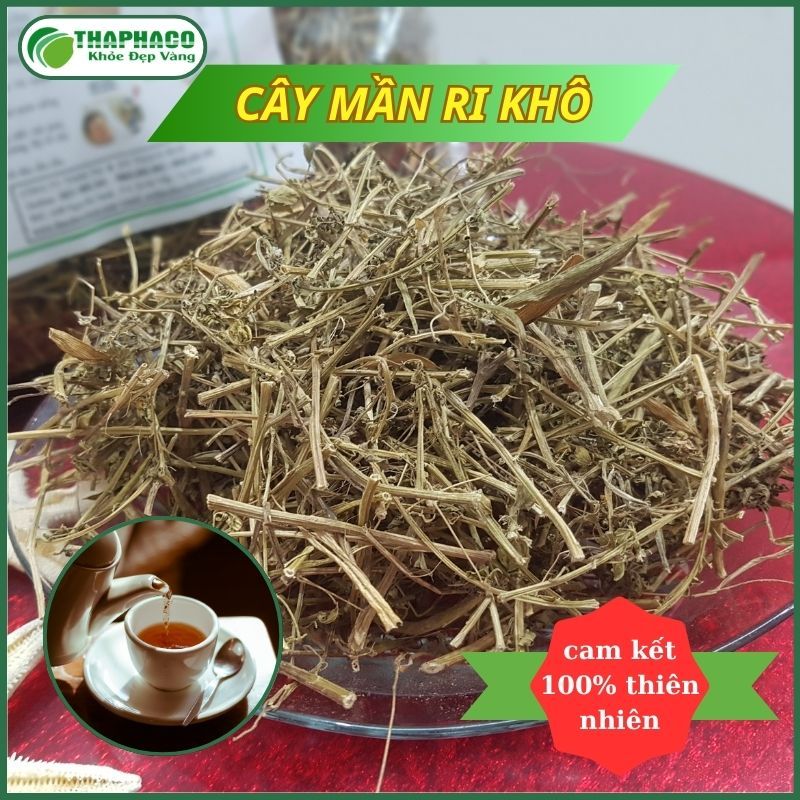 [Túi 1kg] Trà mần ri sấy khô hàng sạch thơm cao cấp - Thảo Dược THAPHACO