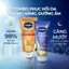 Serum Dưỡng Thể Vaseline Healthy Bright Gluta-Hya Serum Burst Lotion Overnight Radiance Repair 300ml