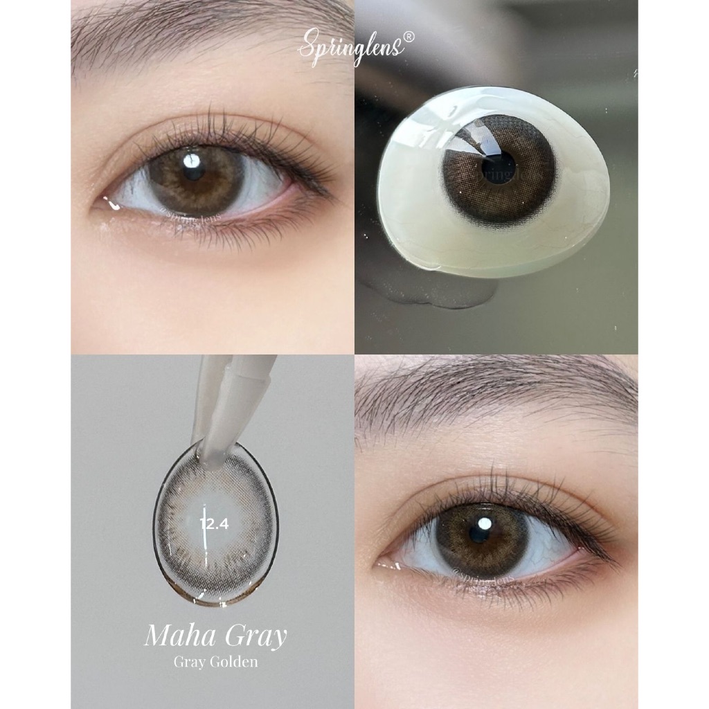 Kính áp tròng Maha Gray xám vàng Gray Golden Silicone Hydrogel 1 tháng | Spring Lens