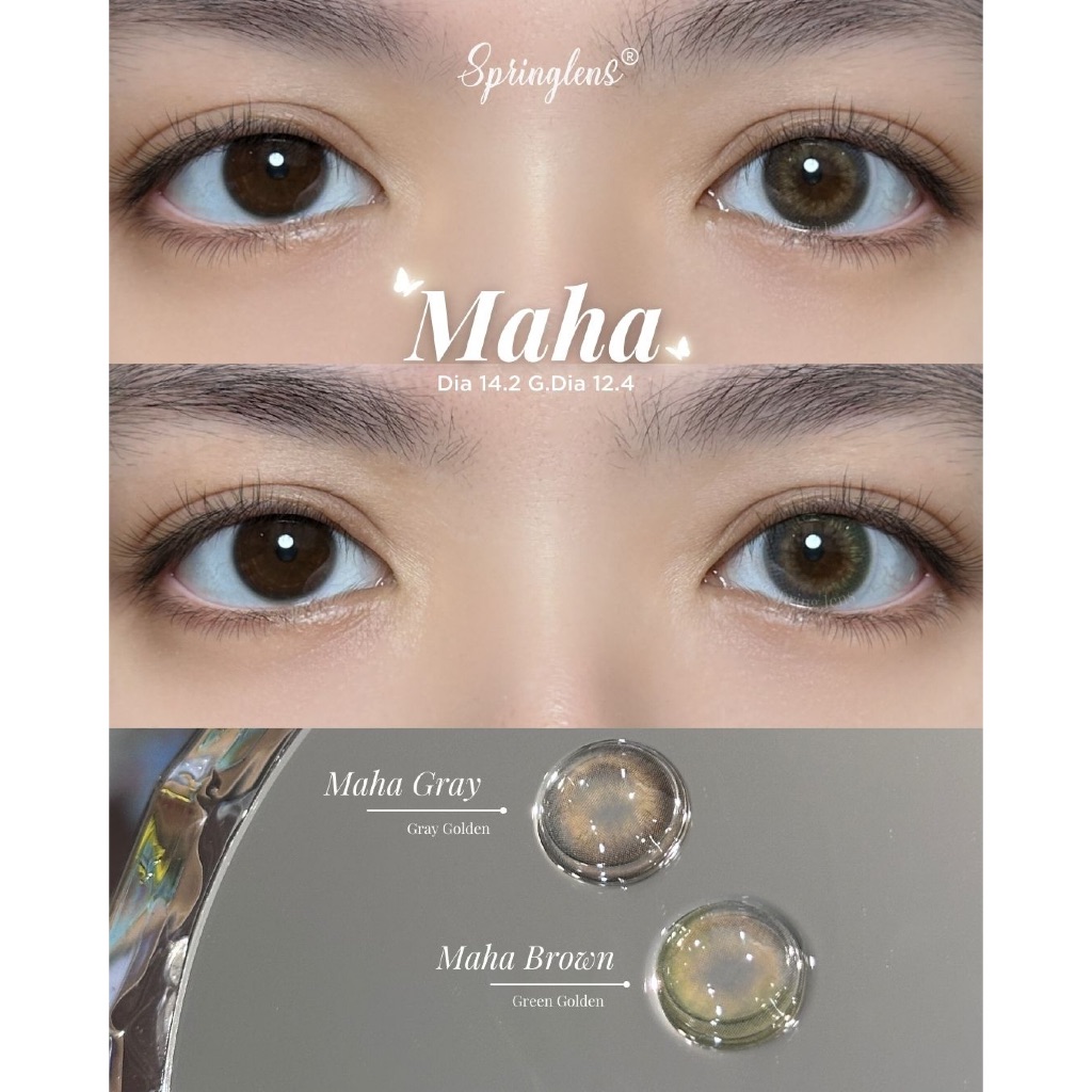 Kính áp tròng Maha Gray xám vàng Gray Golden Silicone Hydrogel 1 tháng | Spring Lens