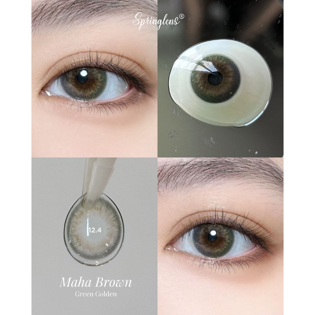 Kính áp tròng Maha Brown xám pha xanh lá Green Golden Silicone Hydrogel 1 tháng | Spring Lens
