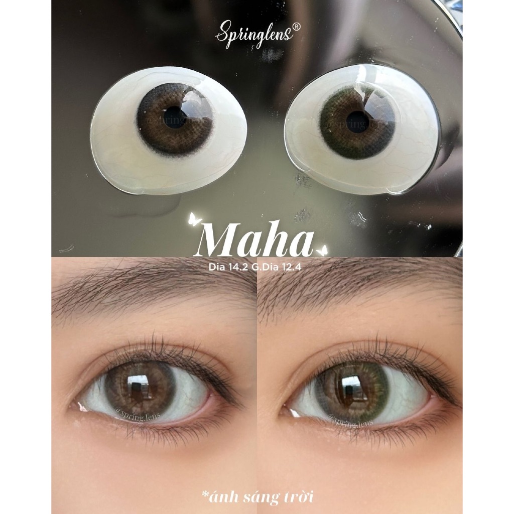 Kính áp tròng Maha Brown xám pha xanh lá Green Golden Silicone Hydrogel 1 tháng | Spring Lens
