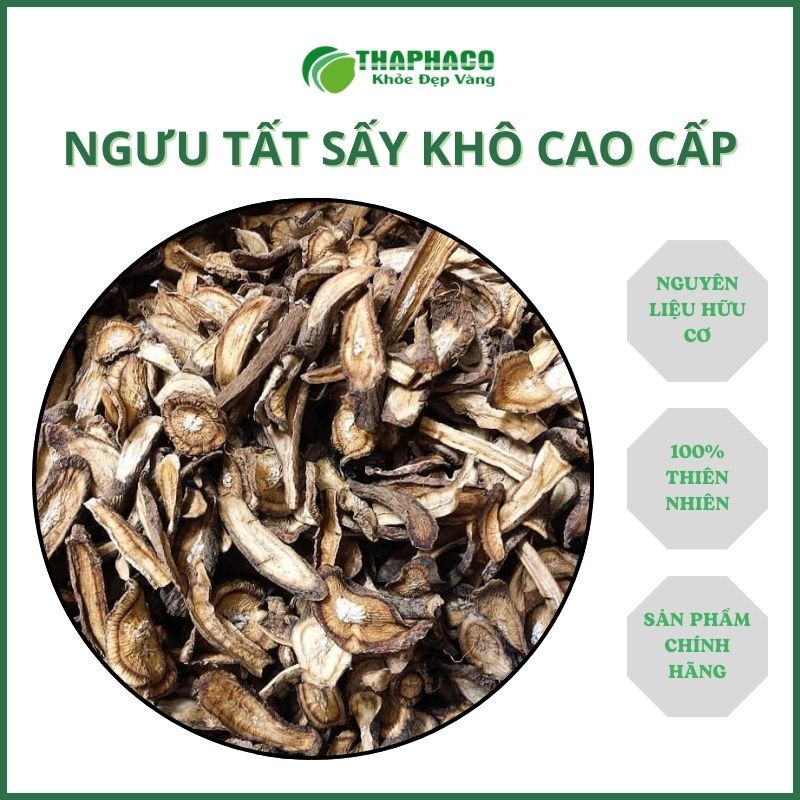 [Túi 500gram] Ngưu tất sấy khô - Hàng sạch thơm cao cấp - Thảo Dược THAPHACO