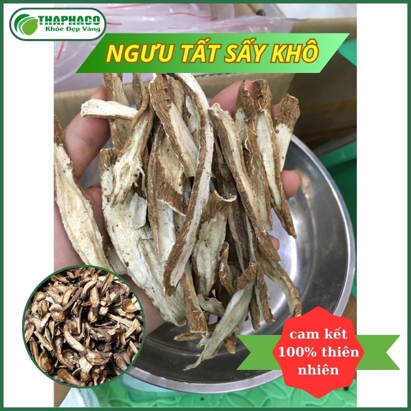[Túi 500gram] Ngưu tất sấy khô - Hàng sạch thơm cao cấp - Thảo Dược THAPHACO