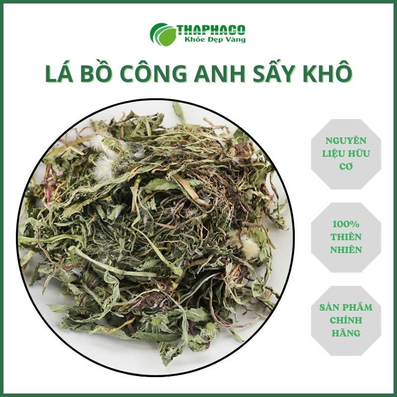 Lá bồ công anh sấy khô - Hàng sạch thơm cao cấp - Túi lớn loại 1kg - Thảo Dược THAPHACO