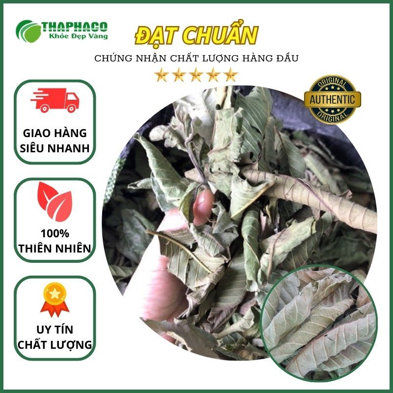 Lá ổi sấy khô - hàng sạch thơm cao cấp - túi lớn loại 1kg - Thảo Dược THAPHACO