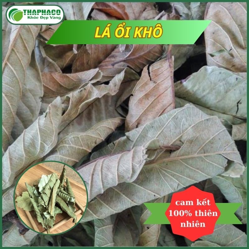 Lá ổi sấy khô - hàng sạch thơm cao cấp - túi lớn loại 1kg - Thảo Dược THAPHACO