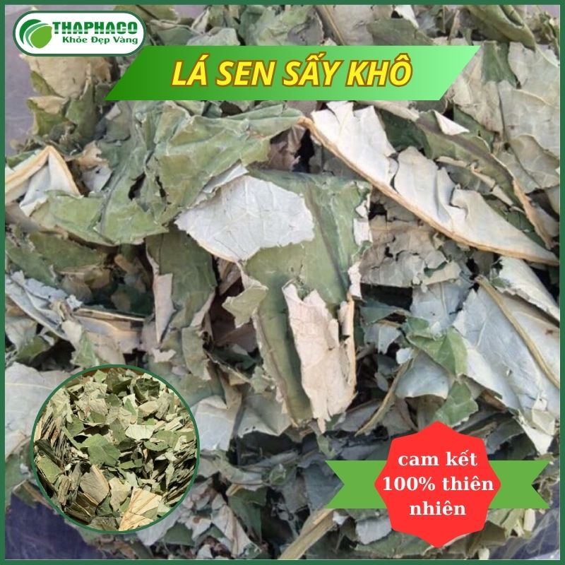 [Túi 1kg] Trà lá sen sấy khô - Hàng sạch thơm cao cấp - Thảo Dược THAPHACO