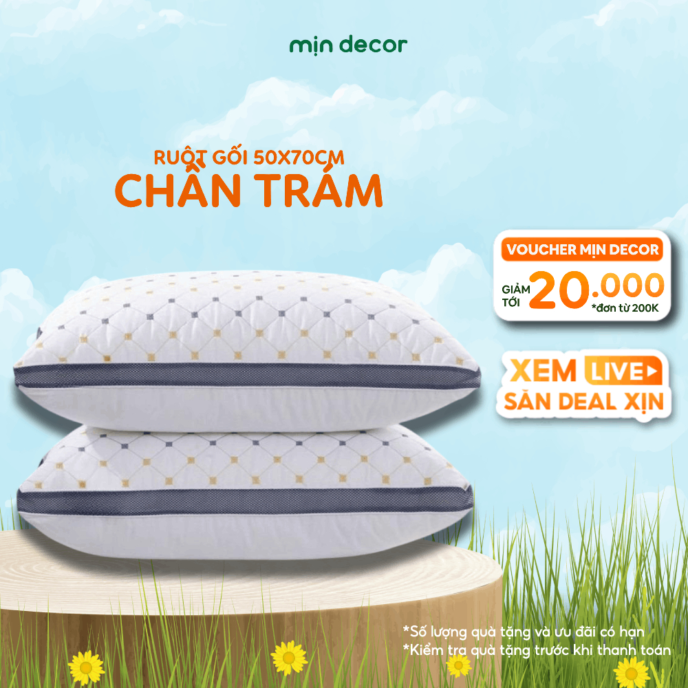 Ảnh Ruột Gối Chần Trám Mịn Decor Form Cao Mềm Êm Kích Thước 50x70cm 1