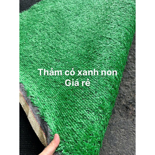 Cỏ nhan tạo xanh non sự kiện,combo 8m2 (  2m*4m)trải sần khấu, trang trí tường xanh,dễ rơi bụi,cỏ mỏng dùng ngắn ngày